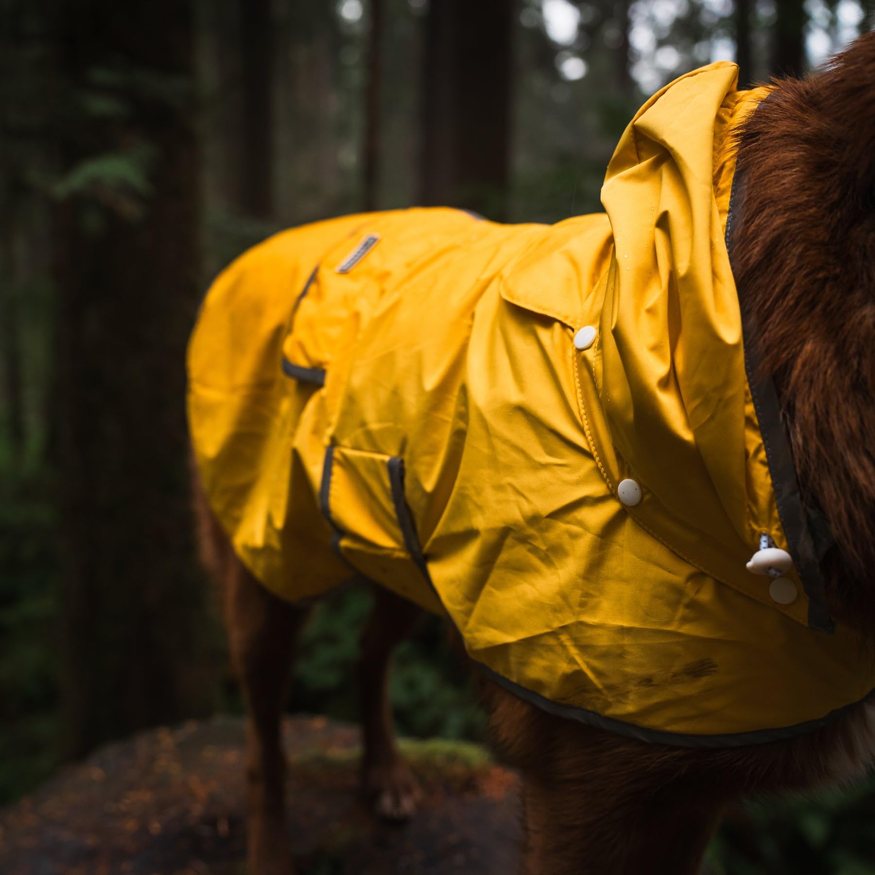 Wilderdog jacket folds into back pocket for easy carry.