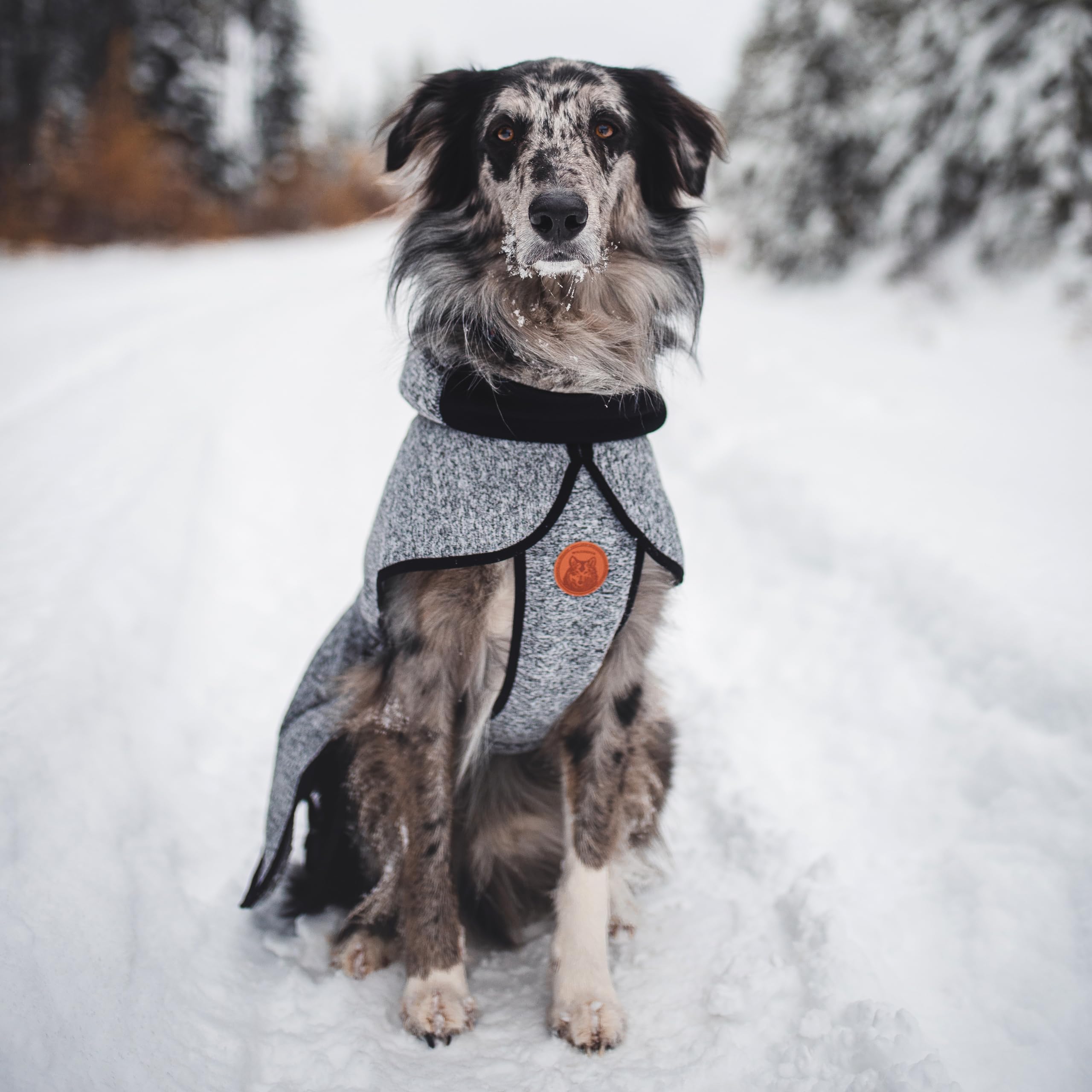 Wilderdog fleece jacket shown under a harness, secure for outdoor adventures