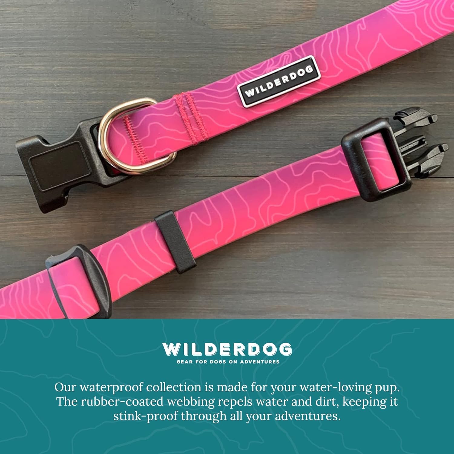 Wilderdog gear lineup including plum collar beside leashes and packs