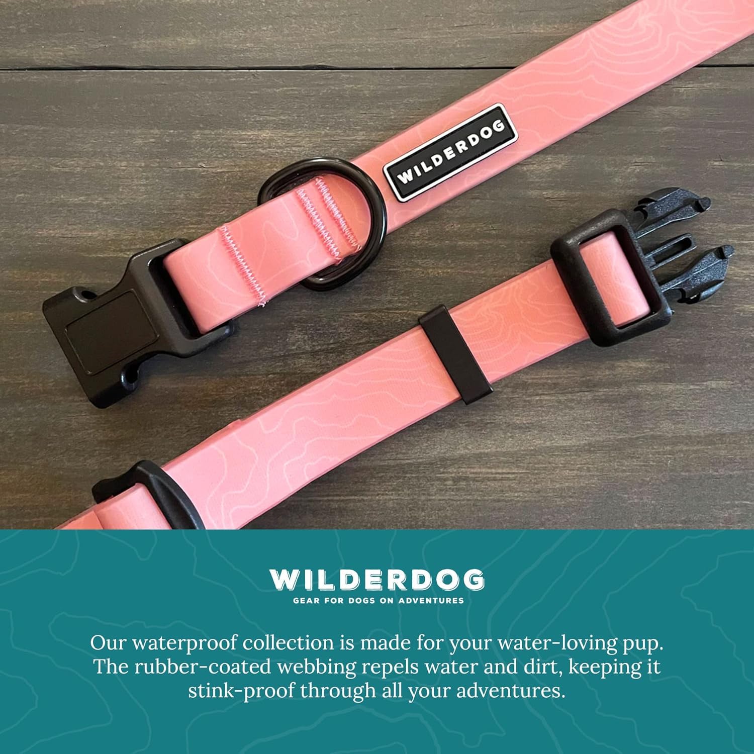 Wilderdog guava collar on-trail demonstrates comfort and durability on outdoor excursions.