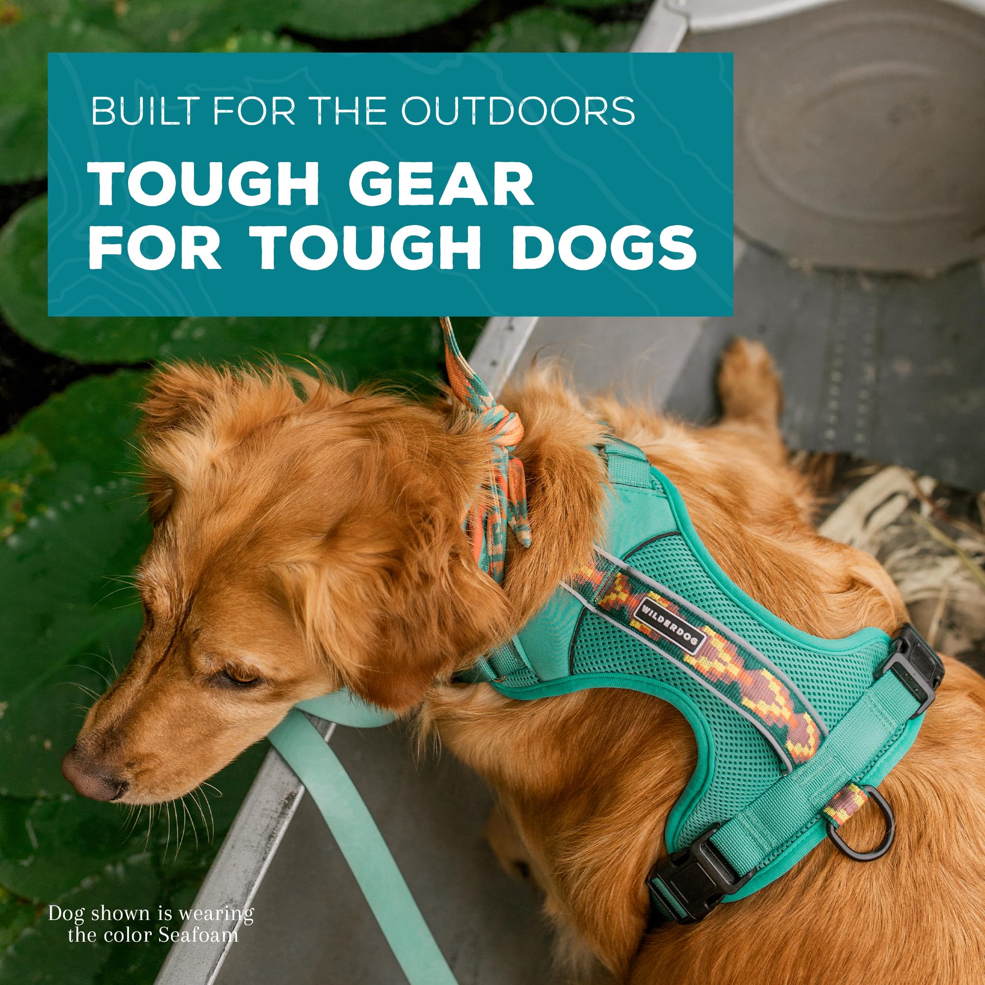 Wilderdog harness adjustable neck and shoulder for snug fit