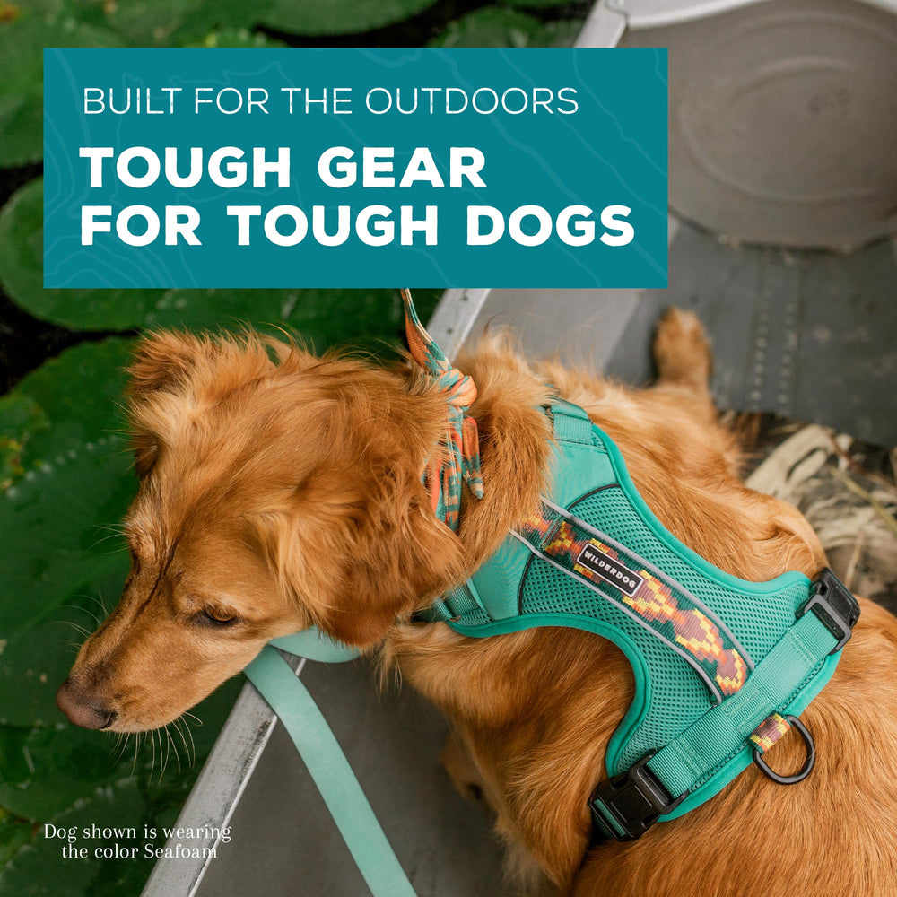Wilderdog harness adjustable neck and shoulder for snug fit