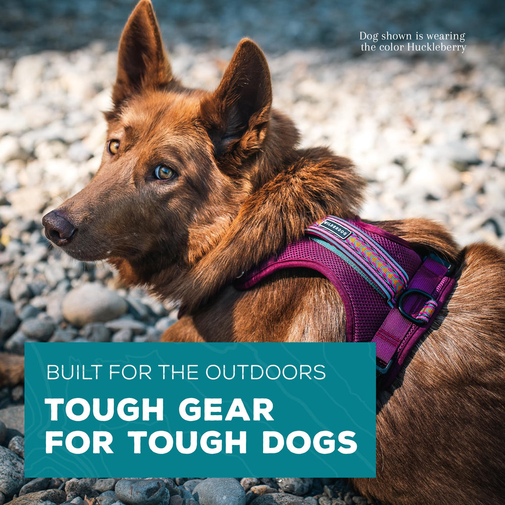 Wilderdog adjustable neck strap ensures snug, breathable fit