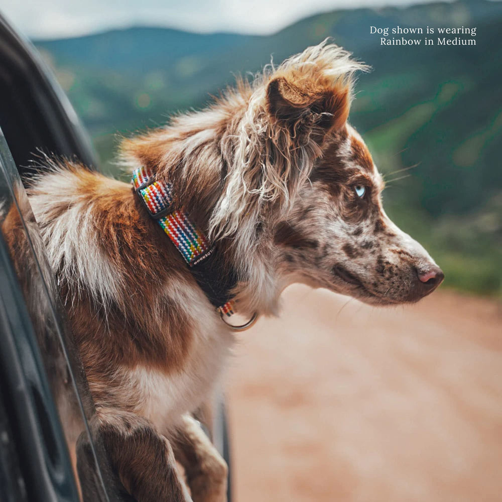 Wilderdog heavy-duty buckle and reinforced stitching ensure secure closure.