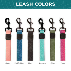 Wilderdog leash swivel-clip closeup showing rust-resistant hardware for easy on/off.
