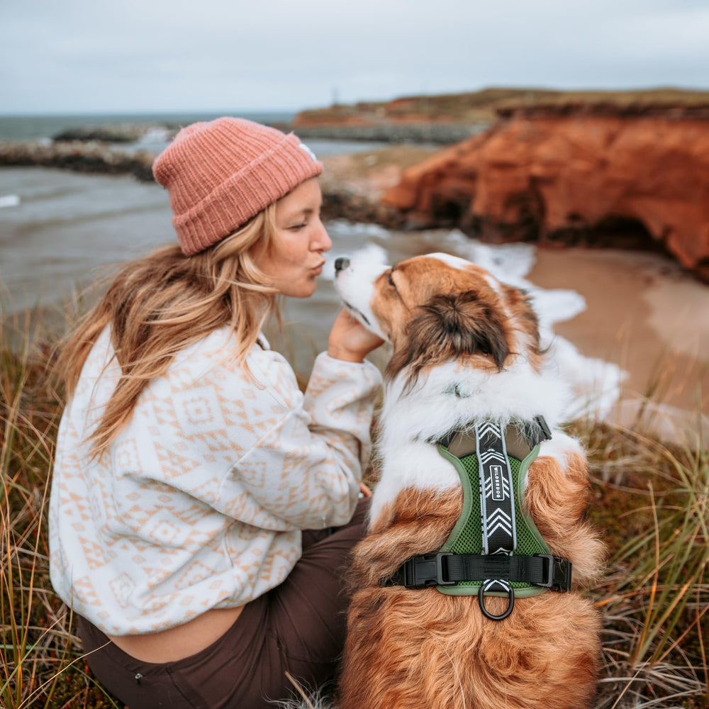 Wilderdog olive side-release buckles simplify harnessing during outdoor sessions