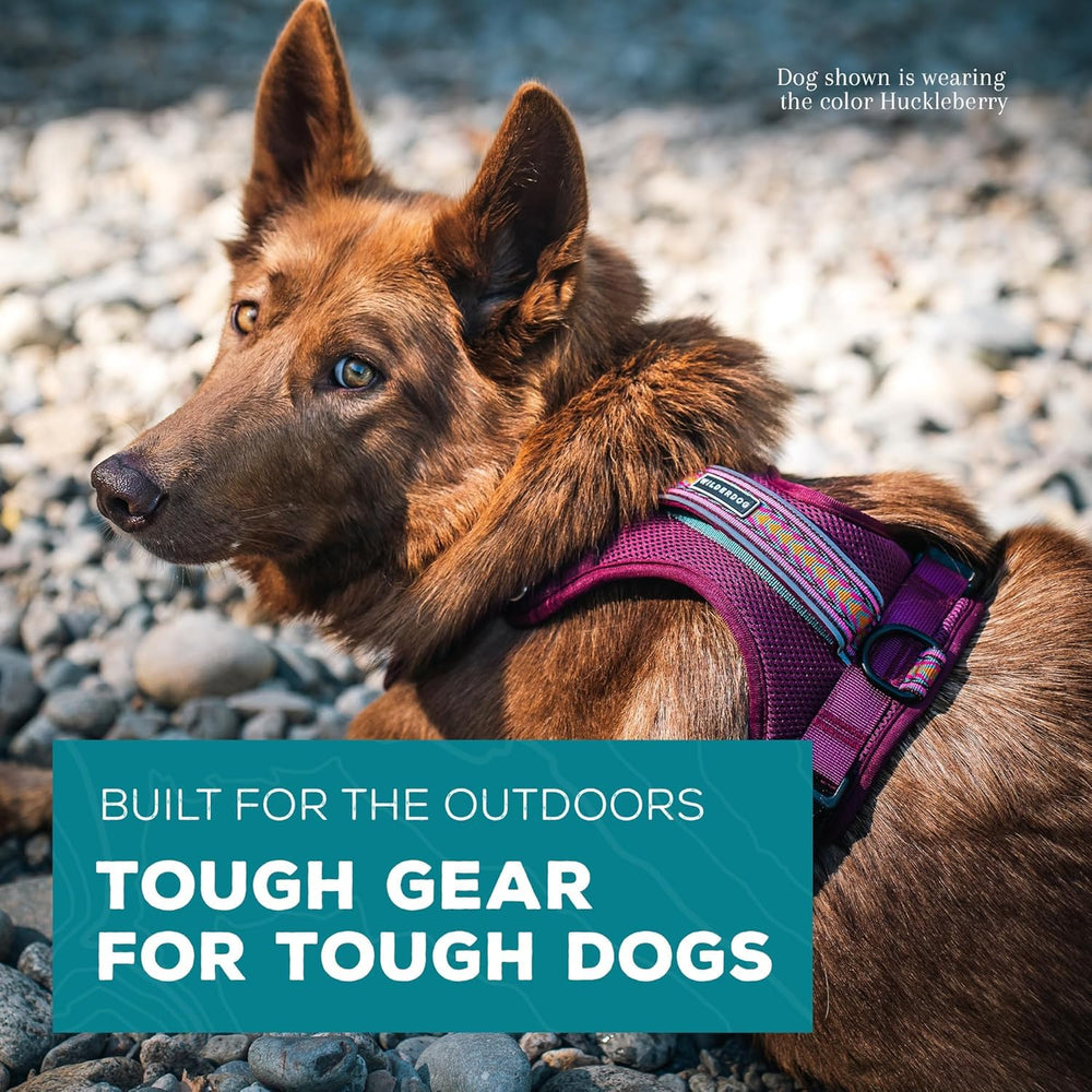 Wilderdog harness features adjustable neck and shoulder for a snug, breathable fit.