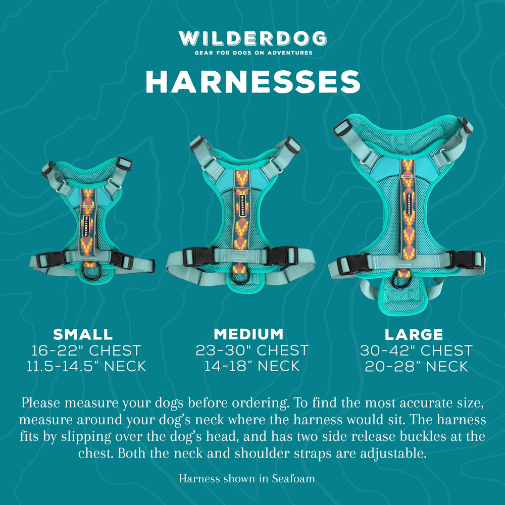 Wilderdog harness chest-d-ring attachment demonstrates versatile control on hikes