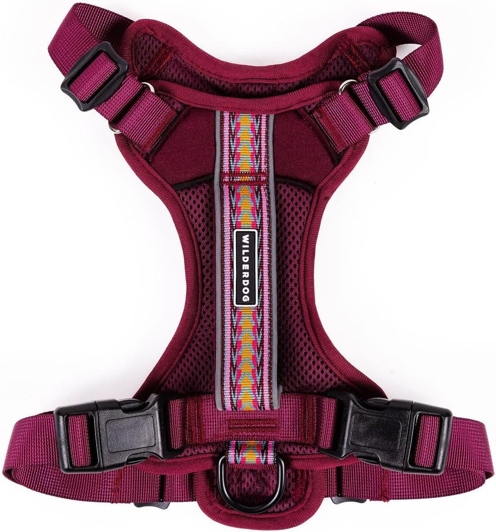 Wilderdog lightweight harness on Huckleberry shows easy overhead wear for quick daily walks.