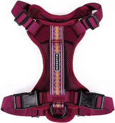 Wilderdog lightweight harness on Huckleberry shows easy overhead wear for quick daily walks.