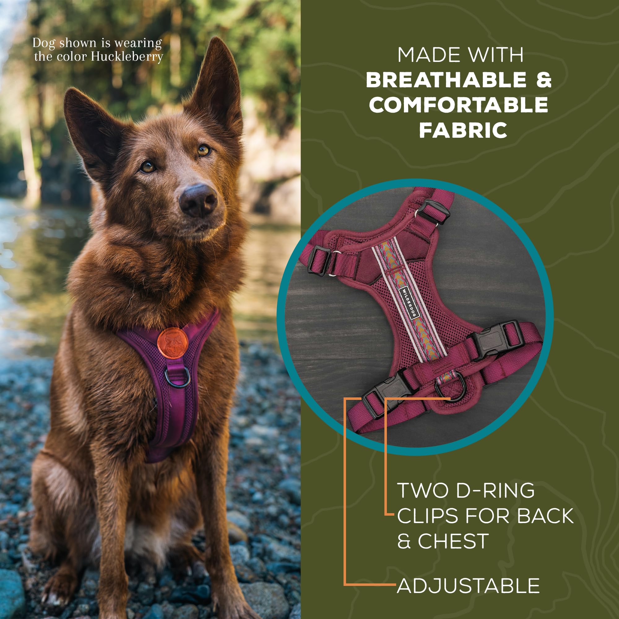 Wilderdog reflective straps provide visibility for safe night runs