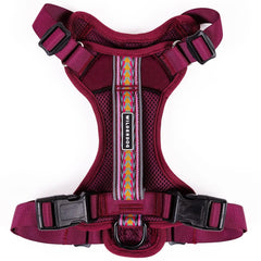 Wilderdog lightweight harness overview in Huckleberry for everyday comfort