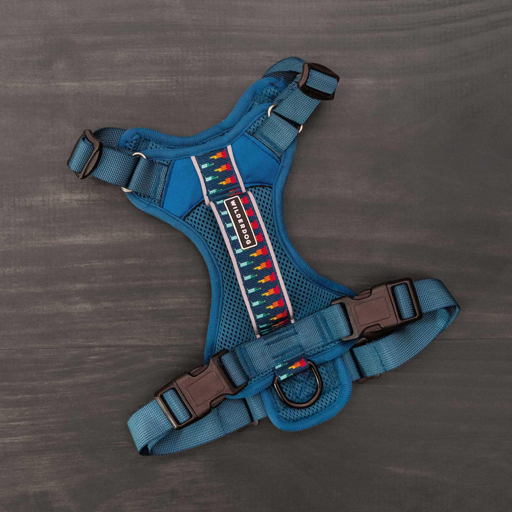Wilderdog Pacific Blue reflective stripes improve visibility on dusk strolls