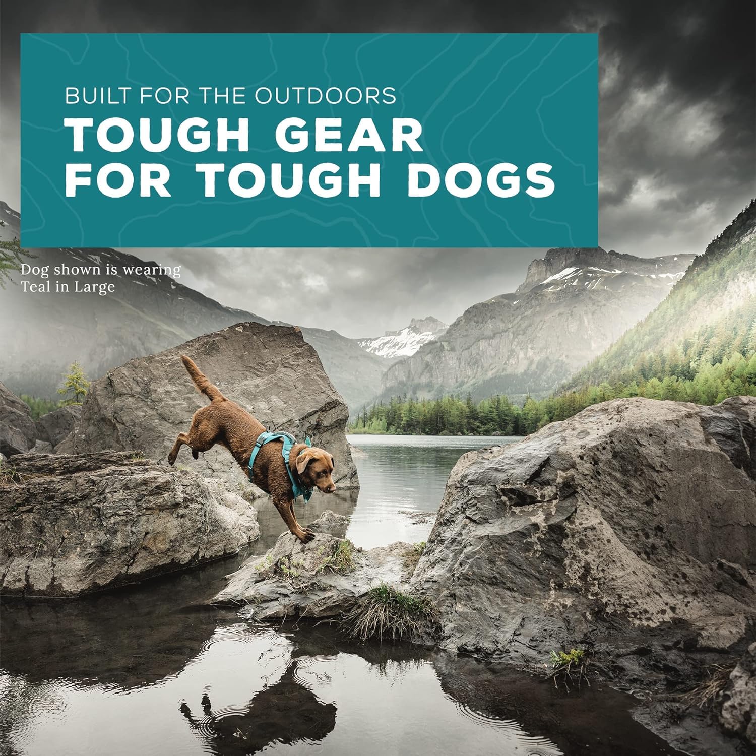 Wilderdog top handle assists lifting over obstacles during rugged adventures