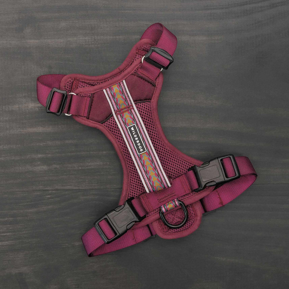 Wilderdog harness with reflective straps along the back improves night visibility.