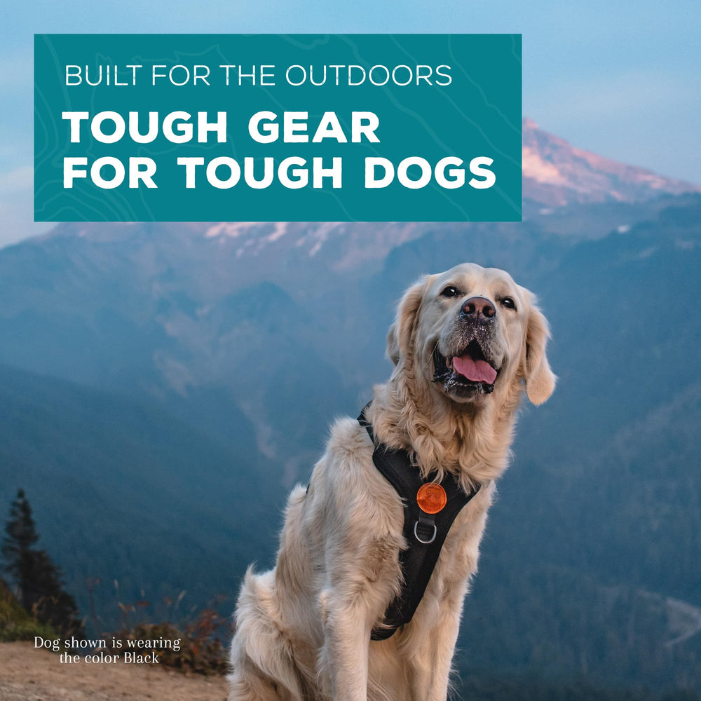 Wilderdog Lightweight Harness top handle aids gentle guidance over obstacles