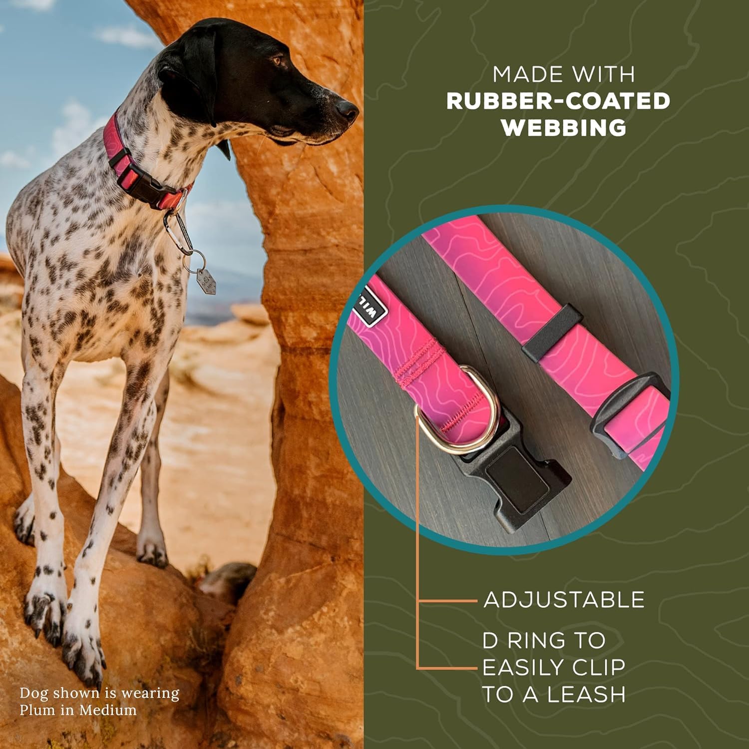 Wilderdog plum collar on dog on rocky trail with dirt