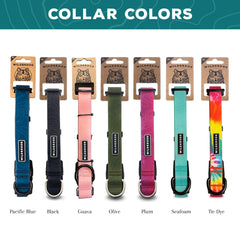 Wilderdog plum collar worn on dog during muddy trail hike