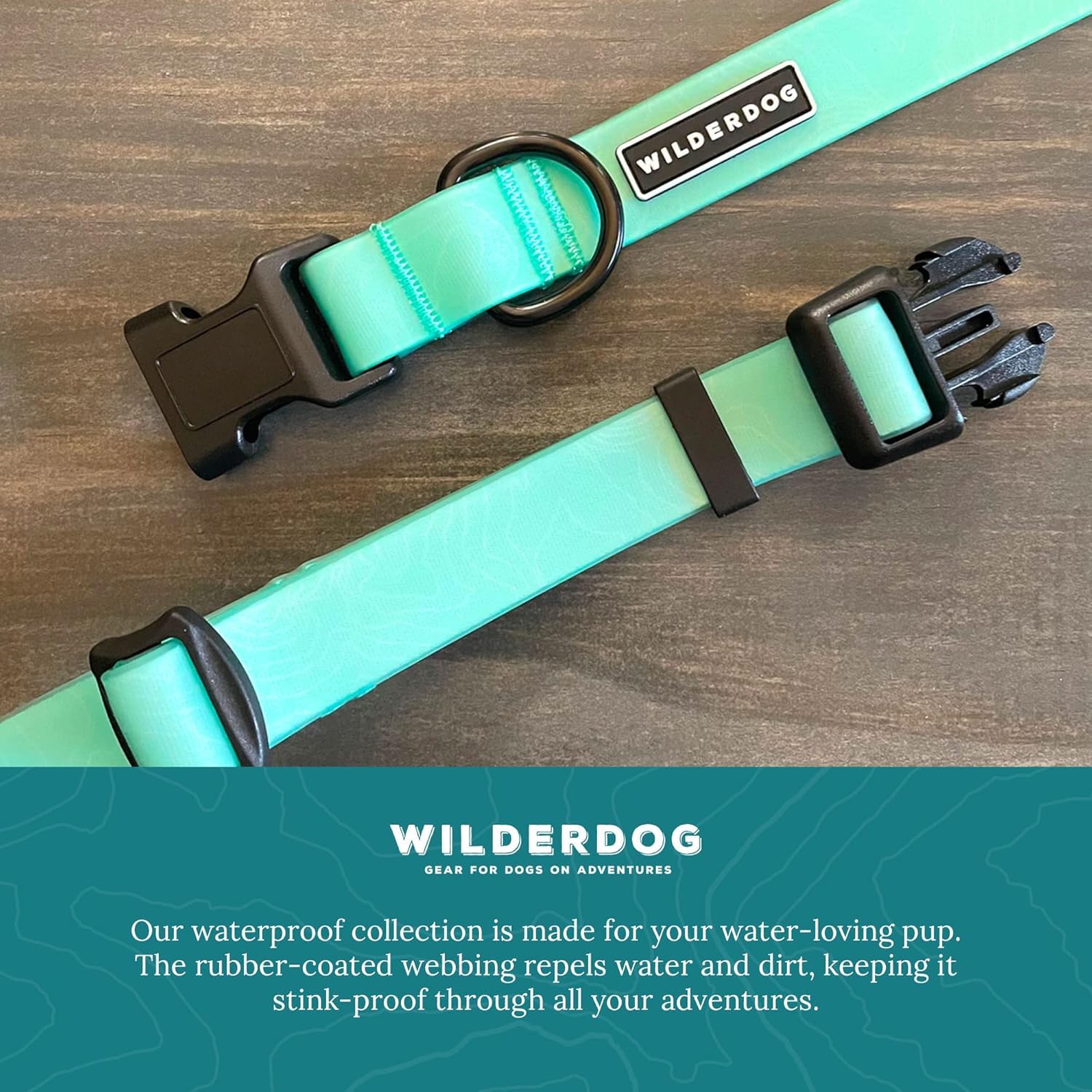 Wilderdog seafoam collar on dog neck with size guide communicates easy growth room