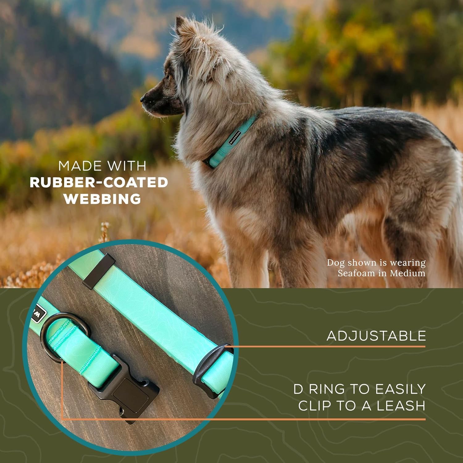 Wilderdog seafoam collar rubber-coated webbing closeup emphasizing water and dirt repellence