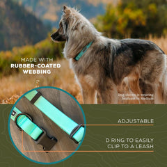 Wilderdog seafoam collar rubber-coated webbing closeup emphasizing water and dirt repellence