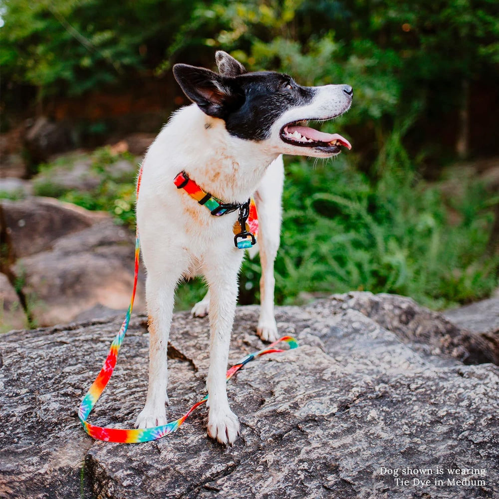 Wilderdog tie-dye leash and collar pair presents a complete outdoor kit for camping.