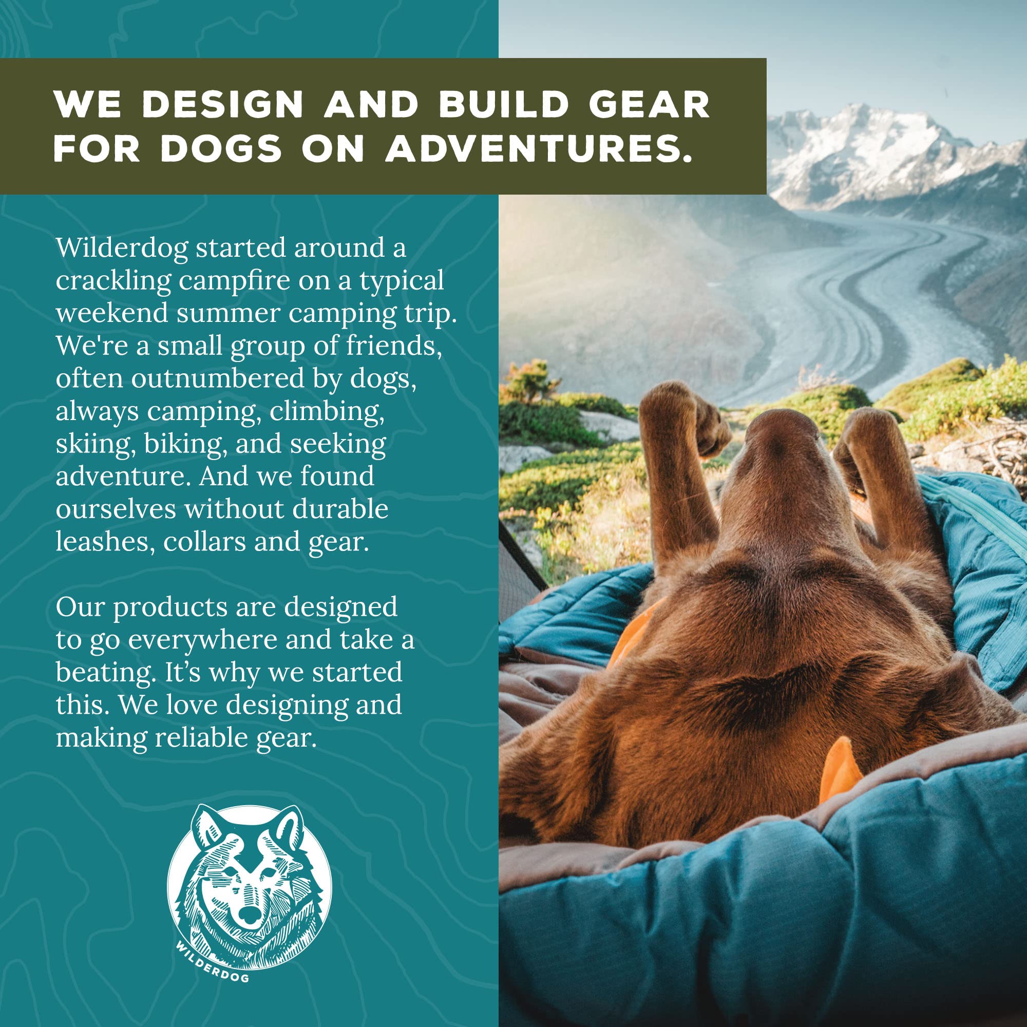 Wilderdog trail-tested collar durability promises long-lasting performance on rugged trails.