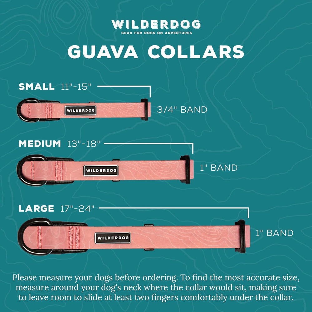 Wilderdog waterproof collar guava rainy-walk highlights weatherproof design for year-round adventures.