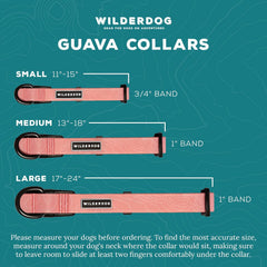 Wilderdog waterproof collar guava rainy-walk highlights weatherproof design for year-round adventures.