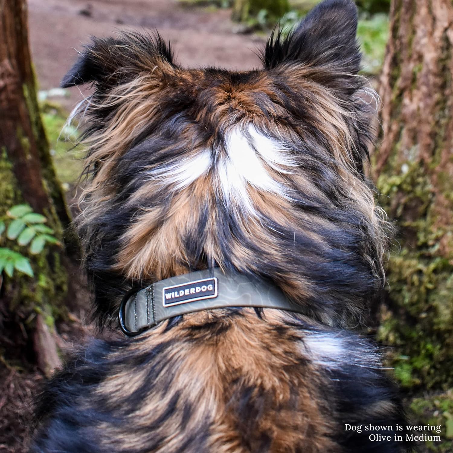 Wilderdog waterproof dog collar olive hardware closeup shows durable construction.