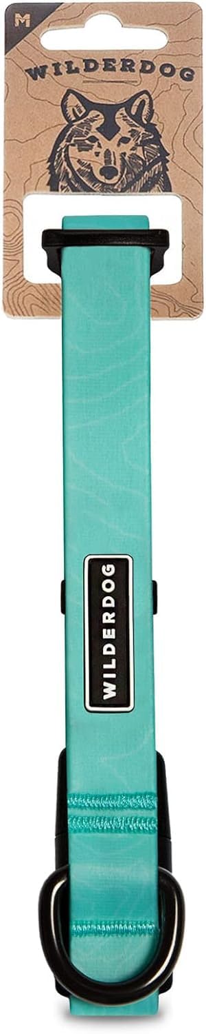Wilderdog waterproof collar seafoam front view showing water-repellent design for outdoor adventures