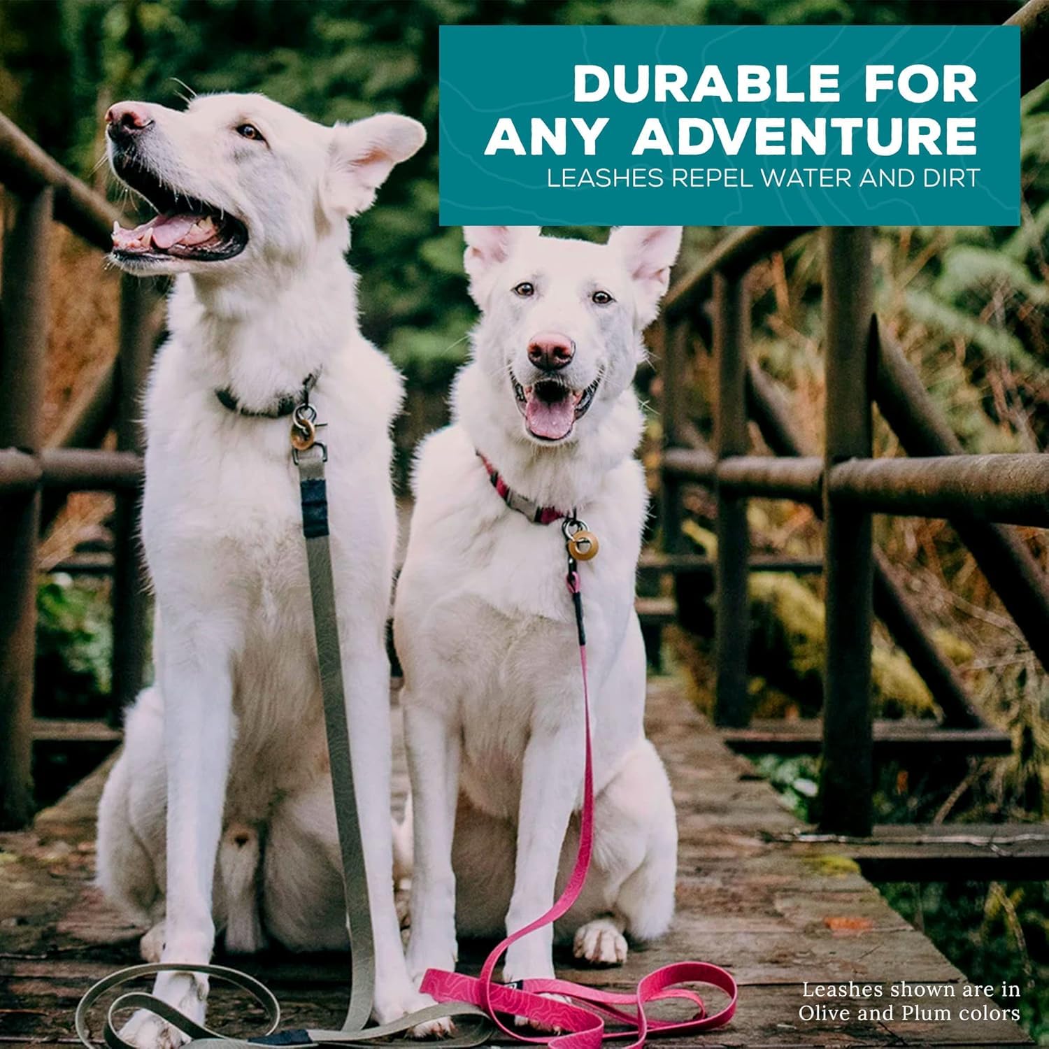 Wilderdog olive leash during camping and hiking scene for outdoor adventures