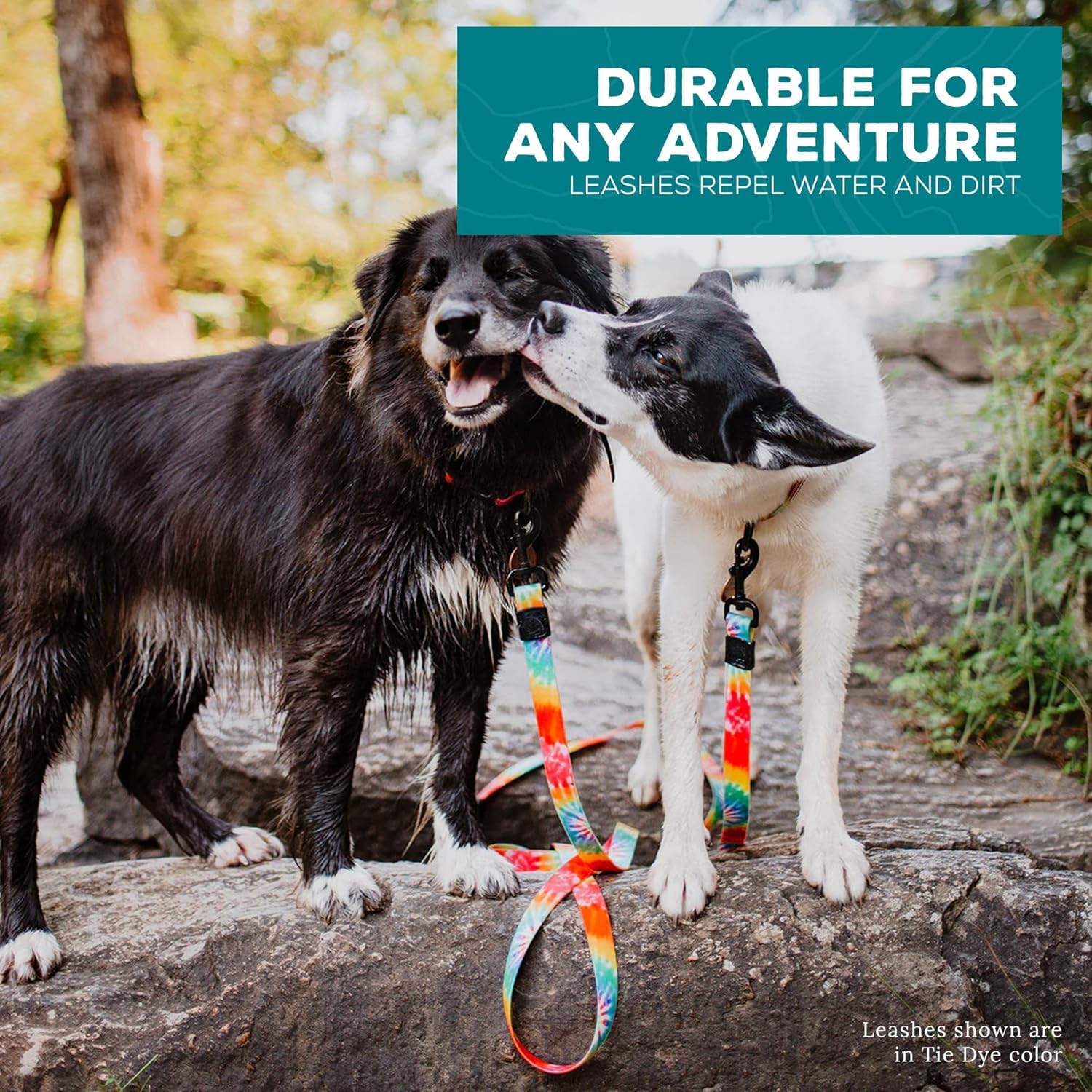 Wilderdog waterproof leash on a wet trail demonstrates dirt resistance.