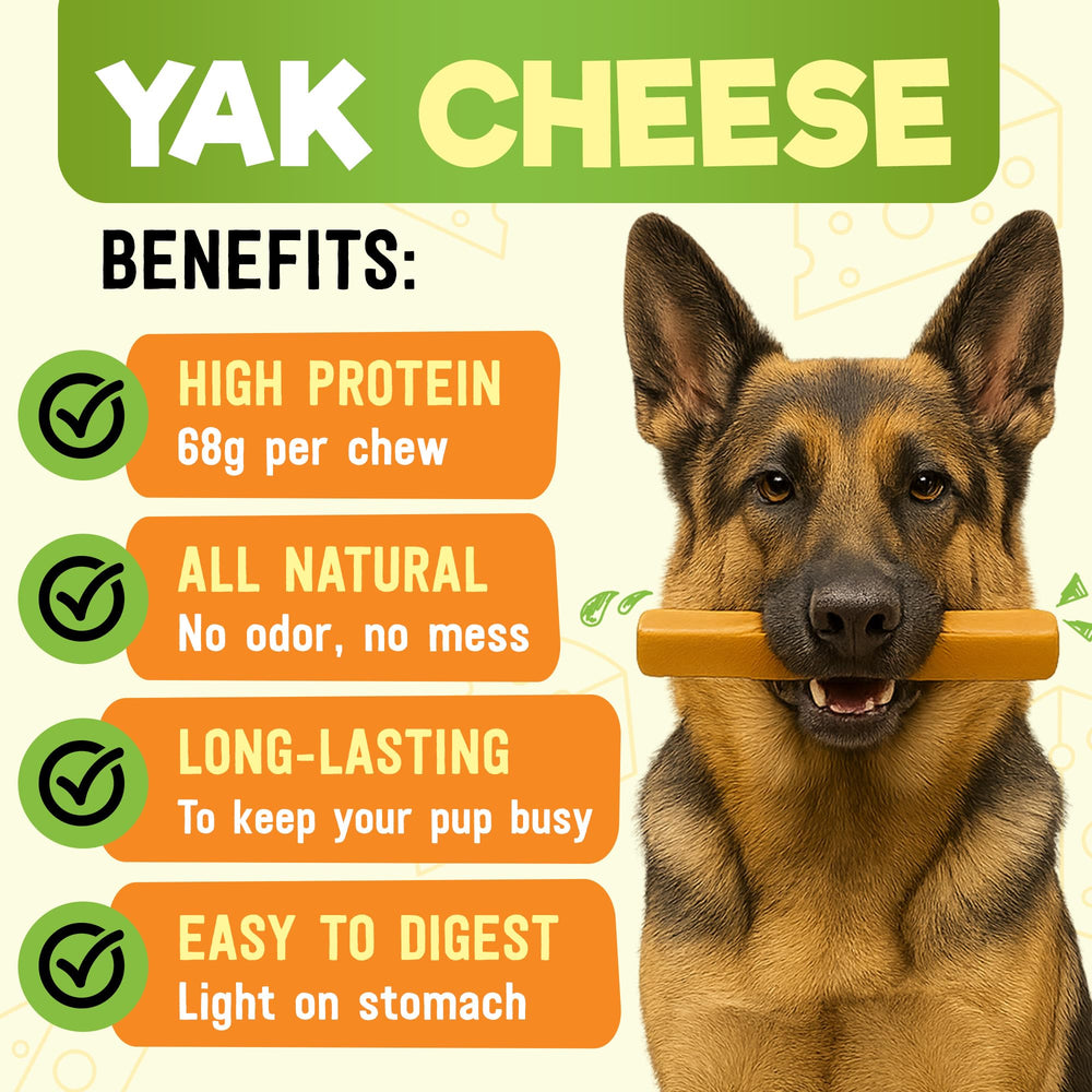 Wilder Tails yak chews high-protein snack to fuel active large dogs during play.