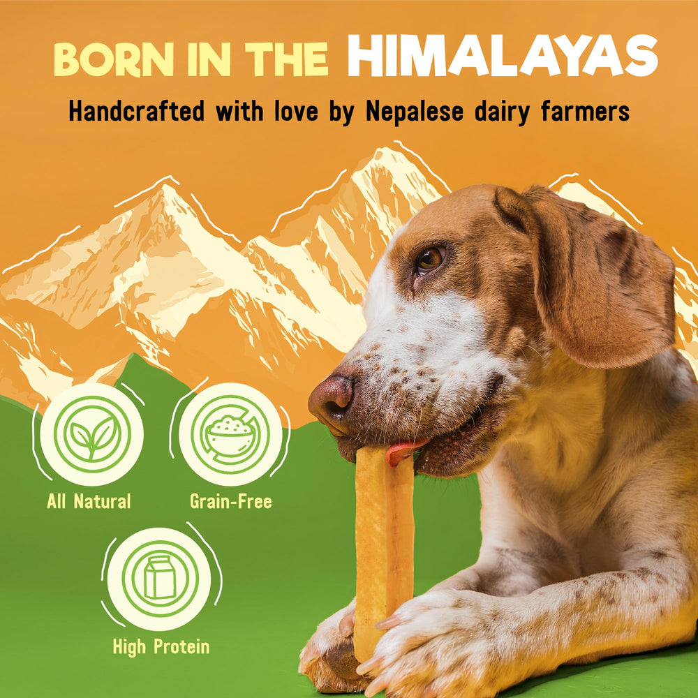 Wilder Tails Himalayan-made yak chews crafted by Nepalese dairy farmers.