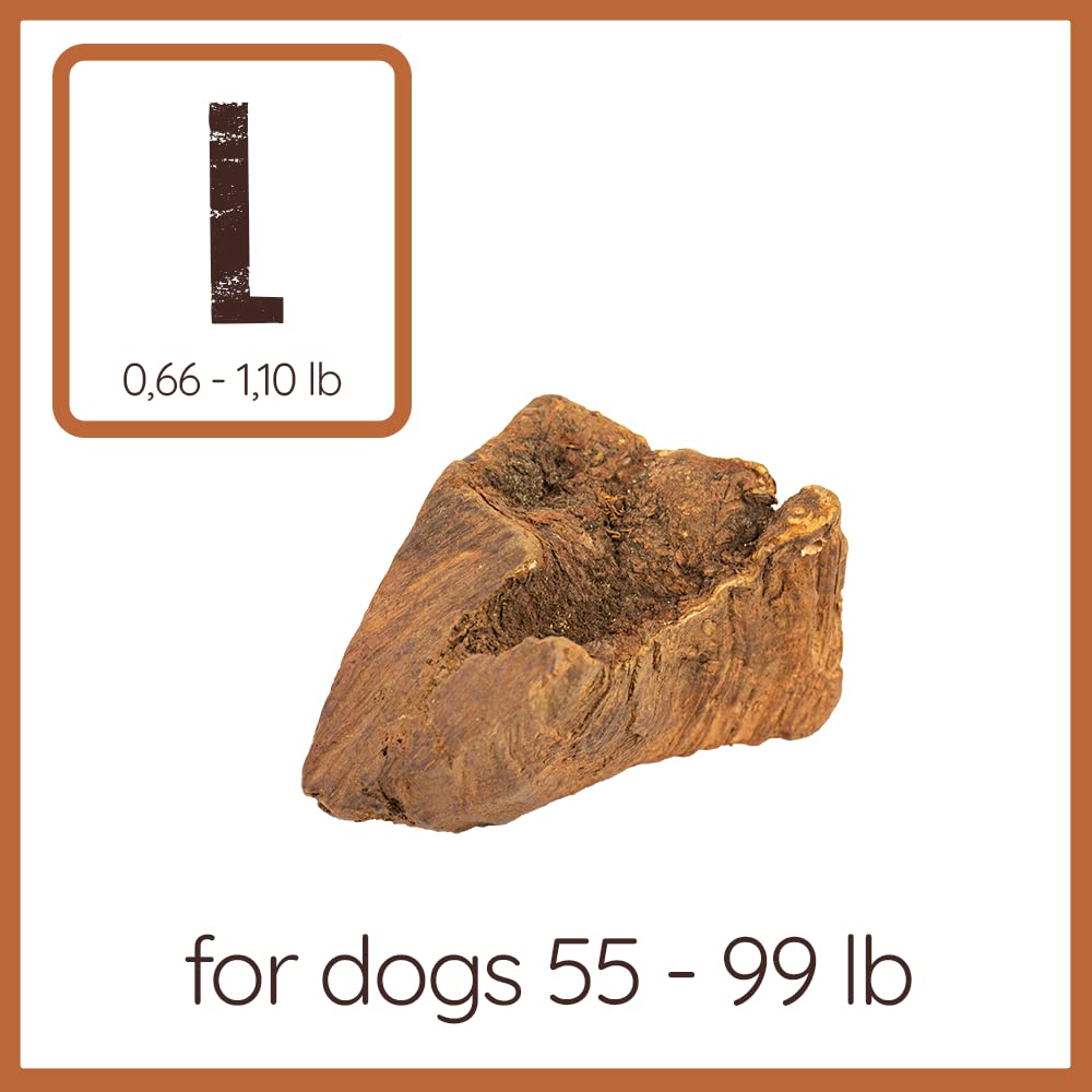 Wildfang Briar Wood Chewing Root Large closeup texture shows a splinter-free surface for safe chewing.