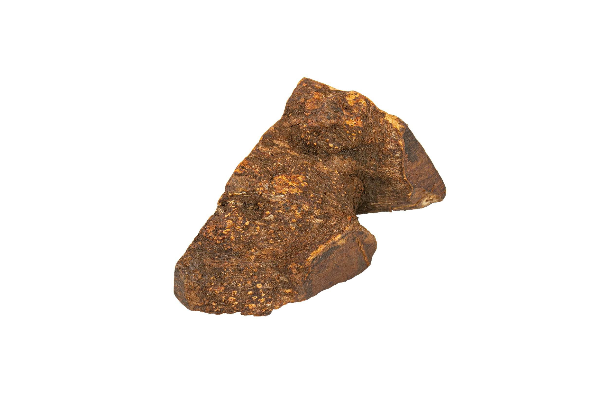 Wildfang Briar Wood Chewing Root Large durable wood stands up to aggressive chewers.