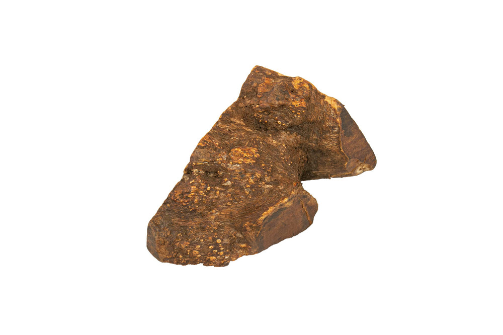 Wildfang Briar Wood Chewing Root Large durable wood stands up to aggressive chewers.