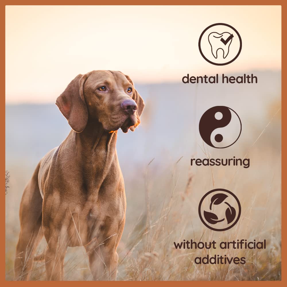 Wildfang Briar Wood Chewing Root Large shows odorless wood for a calm chewing experience.