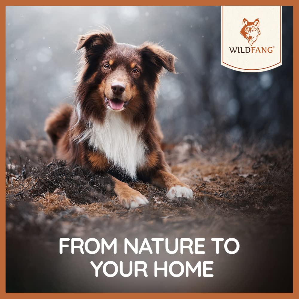 Wildfang Briar Wood Chewing Root Large features splinter-free design that helps redirect chewing.