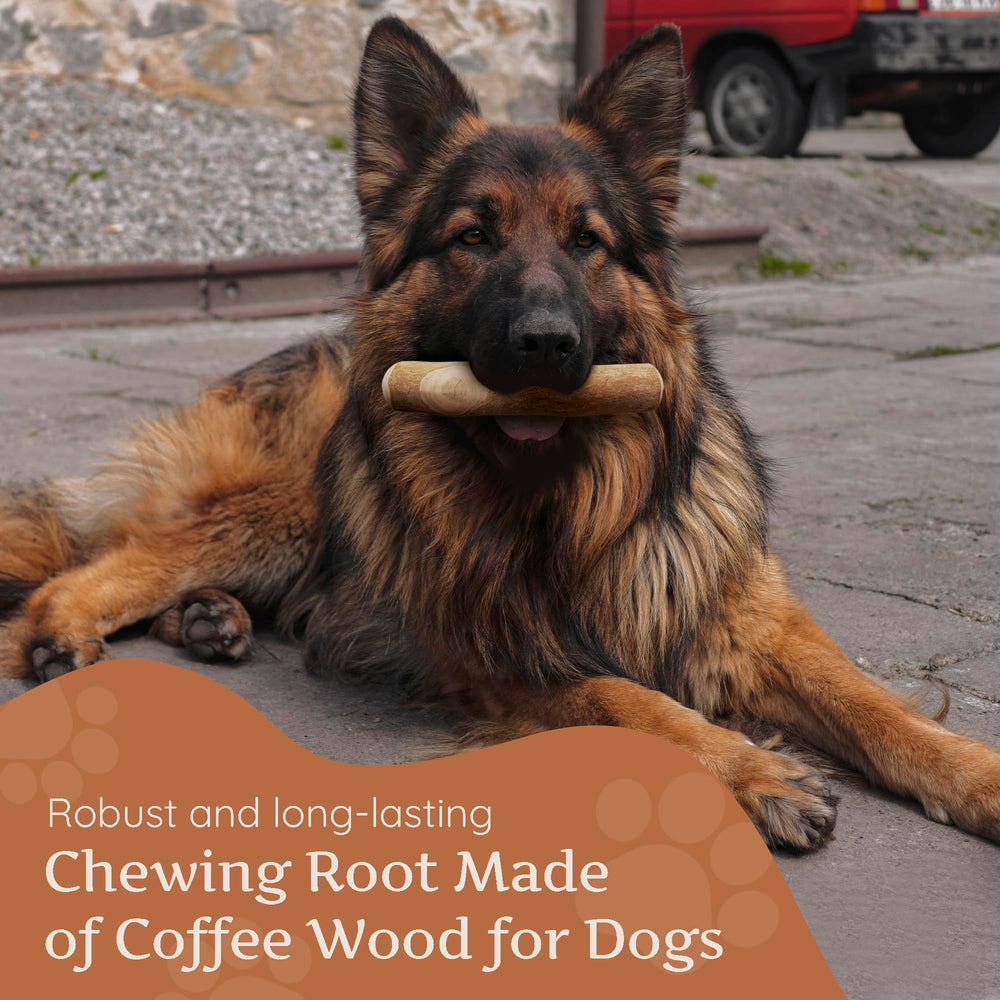 Wildfang coffee wood dog chew eco-friendly material highlights sustainable, vegan chew option.