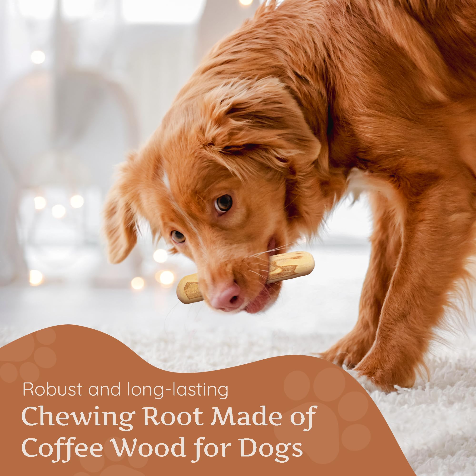 Wildfang dental benefits hint at natural plaque control during chewing.