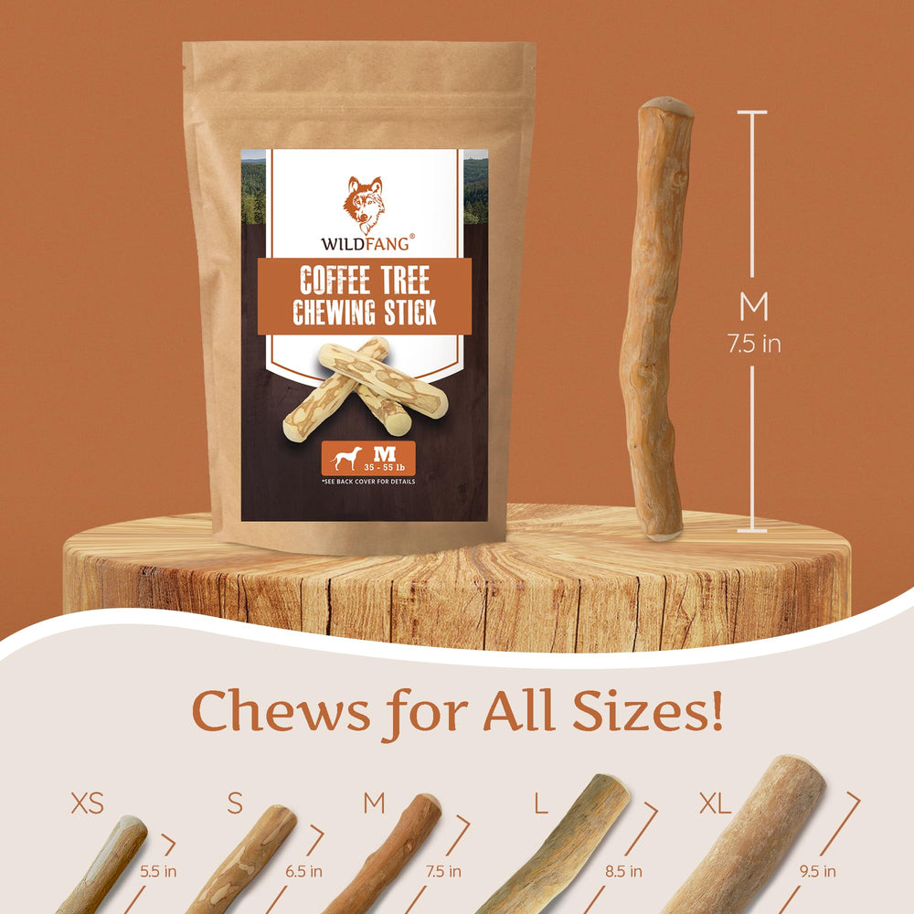 Wildfang Coffee Wood Dog Chew in action demonstrates calm, focused chewing.