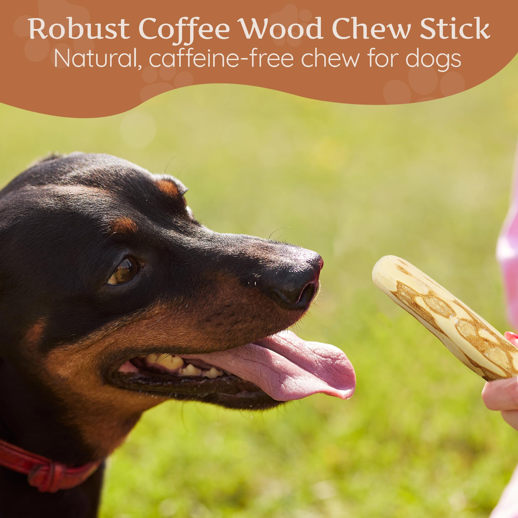Wildfang coffee wood safety edges emphasize safer, evenly finished chewing surface.