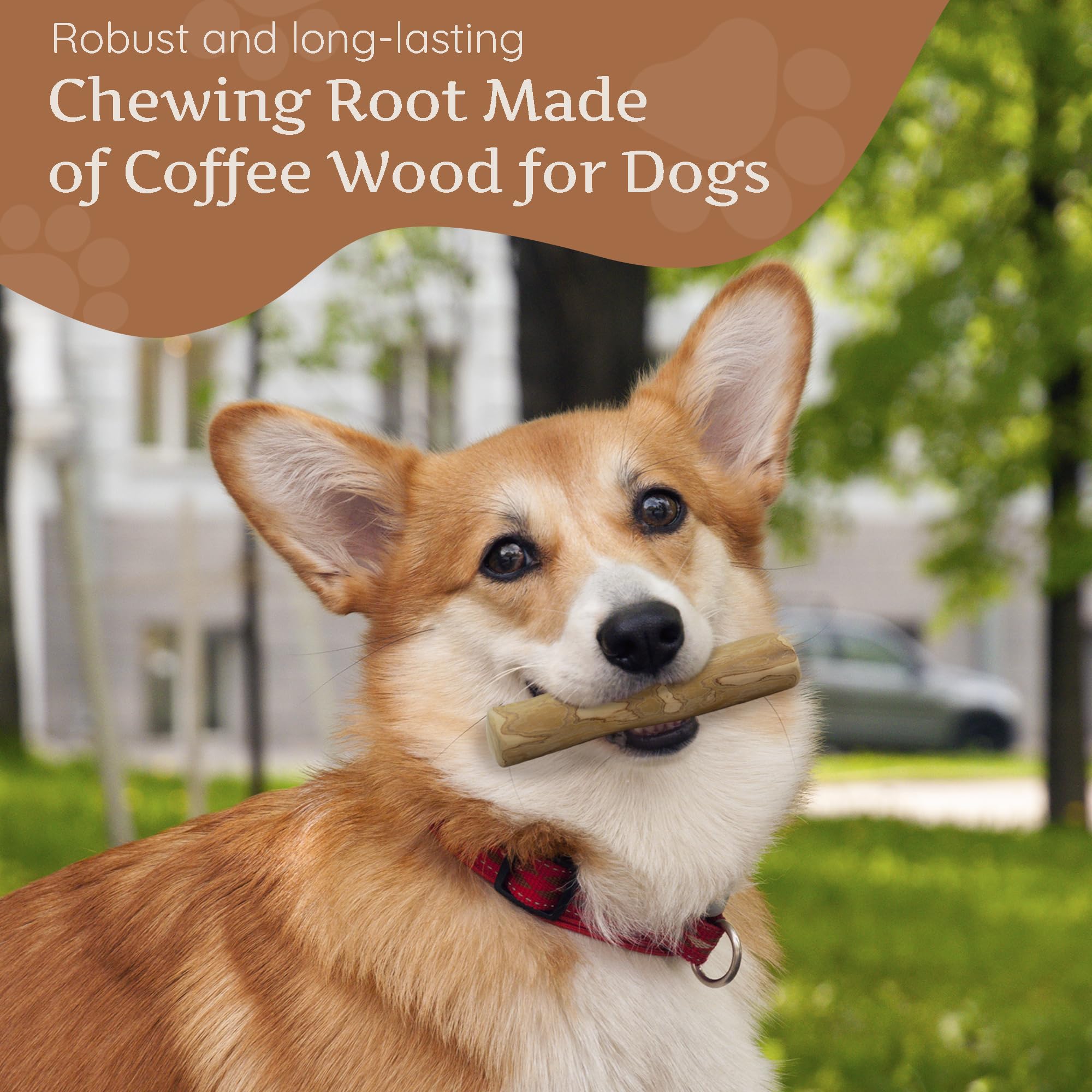 Wildfang Coffee Wood Dog Chew Small close-up surface highlights splinter-resistant finish