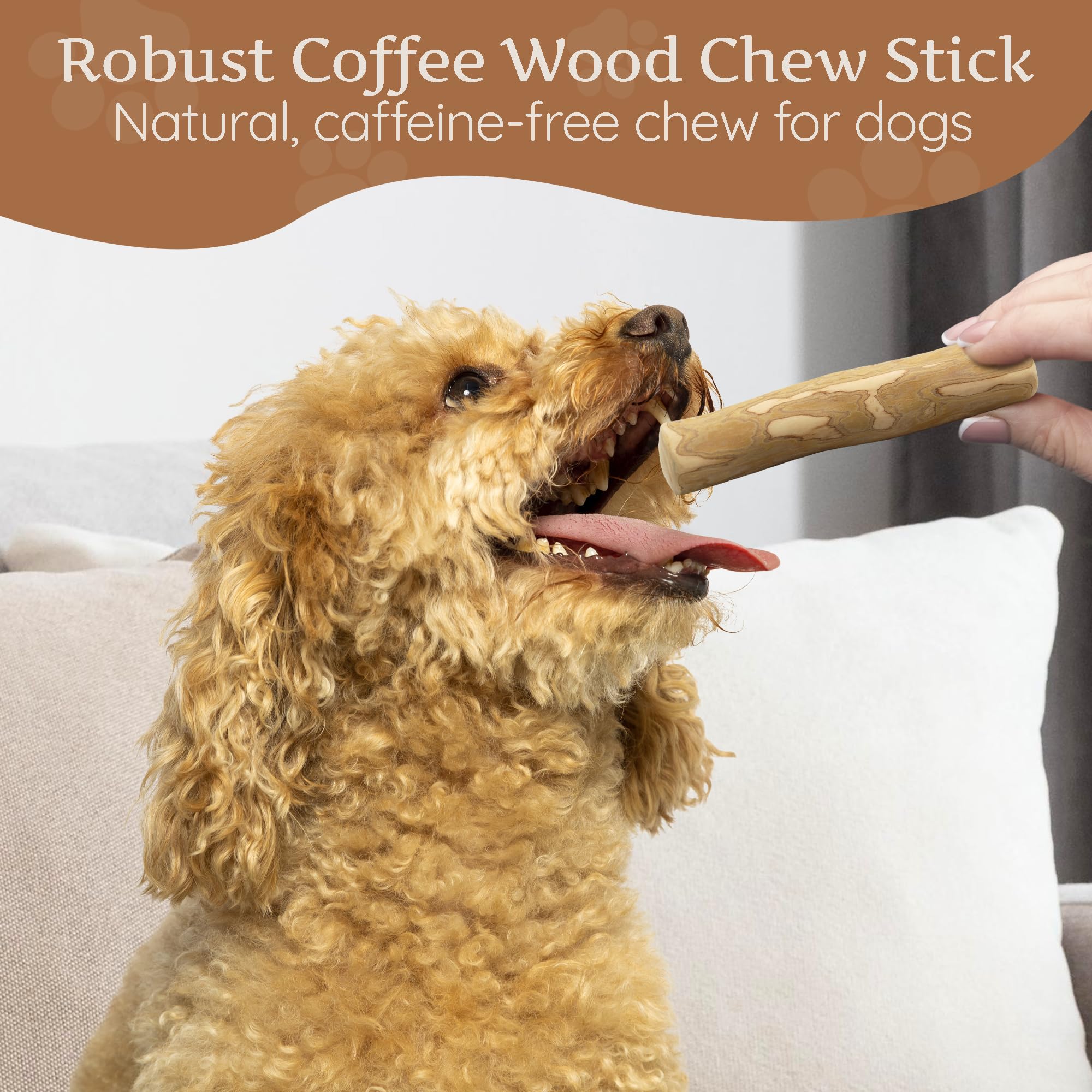 Wildfang Coffee Wood Dog Chew Small puppy teething toy satisfies chewing urge safely