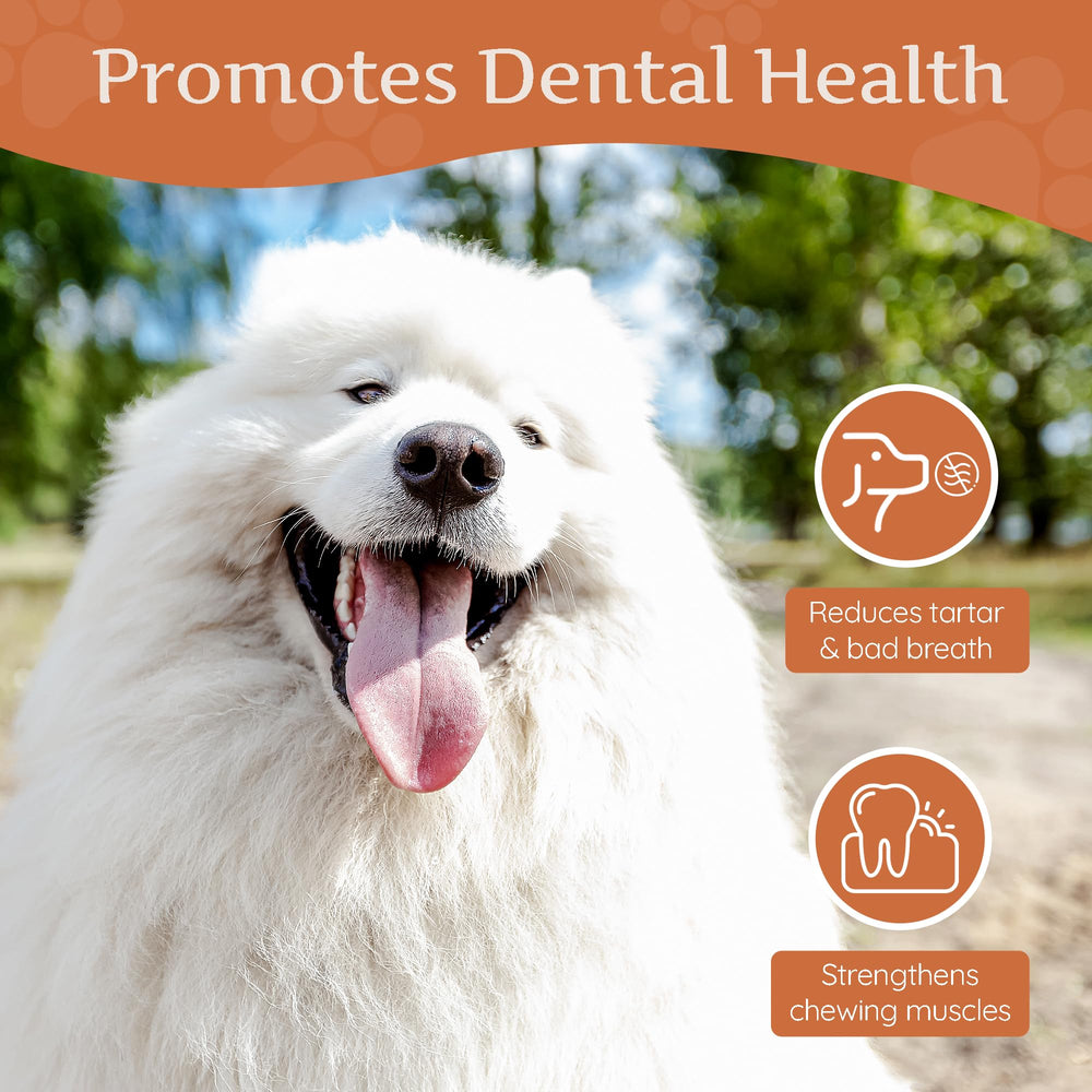 Wildfang Briar Wood supports gentle dental care while dogs chew
