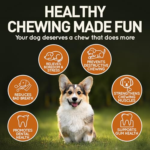 Wildfang dog-teething chew stick emphasizes safe, splinter-resistant design for teething puppies.