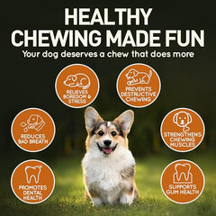 Wildfang dog-teething chew stick emphasizes safe, splinter-resistant design for teething puppies.