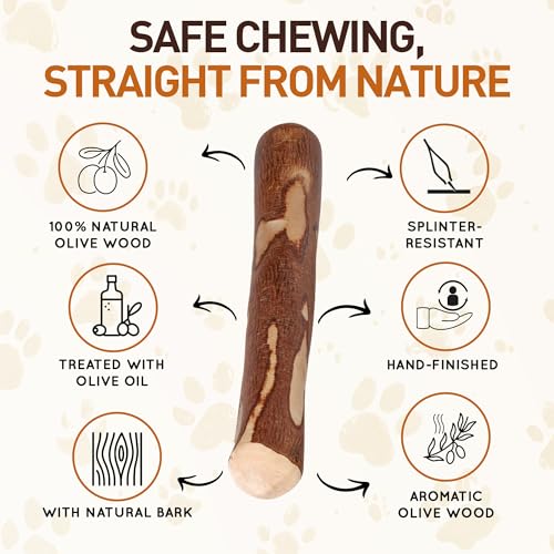 Wildfang durable olive wood chew showcases heavy chewers with long-lasting enrichment.